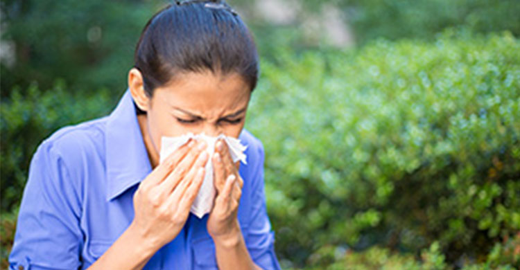 best allergy specialist in jaipur